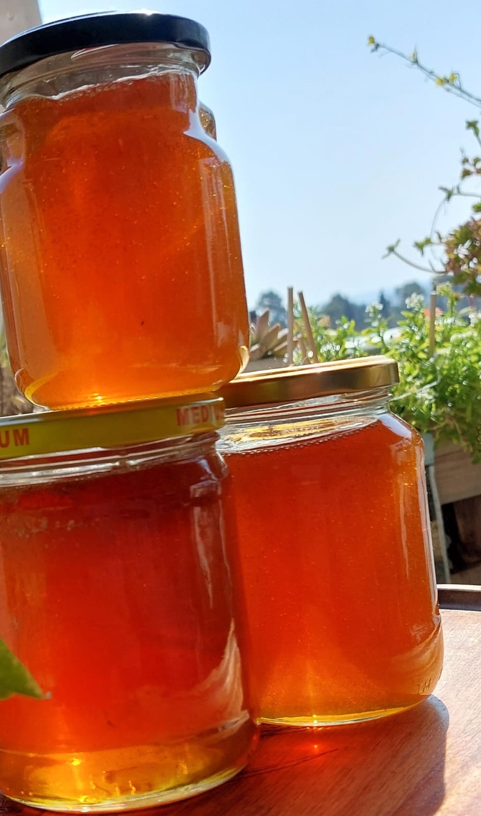 Michelle honey jars